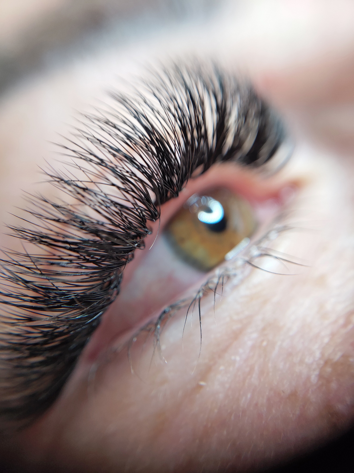 Lash Extensions in Beauty Salon Macro Eye